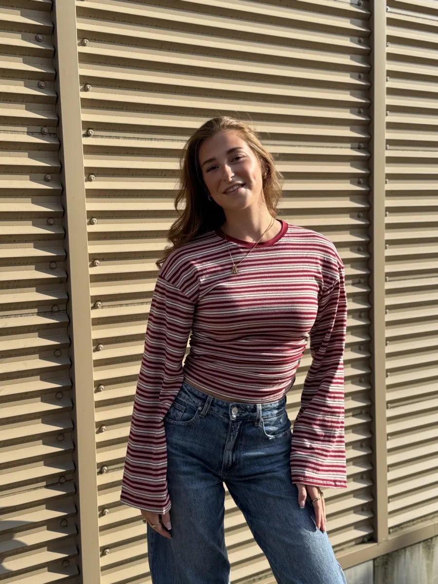  Getailleerde longsleeve met streepjes - bordeaux/ roze