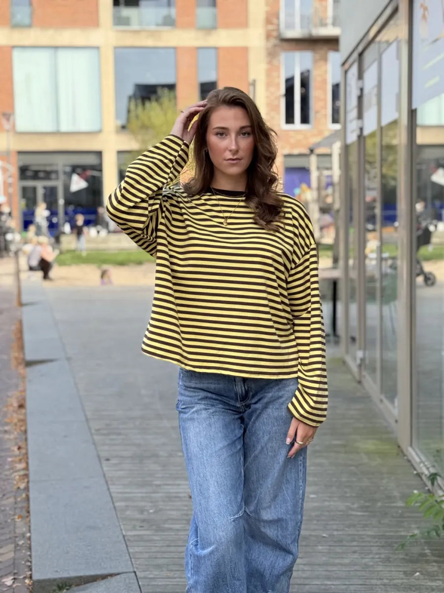  ZM - gestreepte longsleeve Jenna - Bruin/ geel