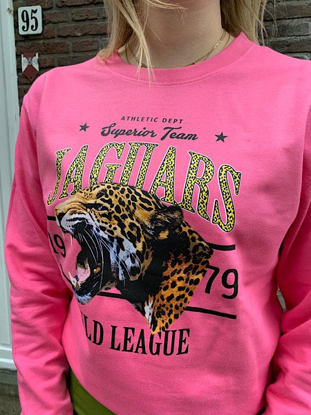 Fuchsia sweater jaguars