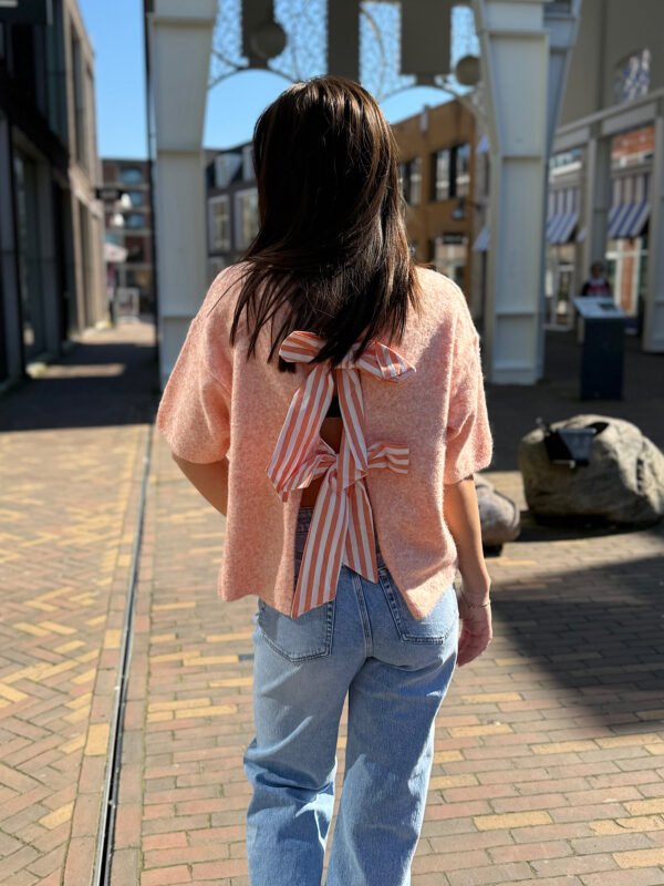 Oranje truitje met strikjes