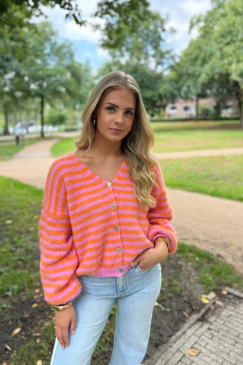 Roze/ oranje gestreept knit vest