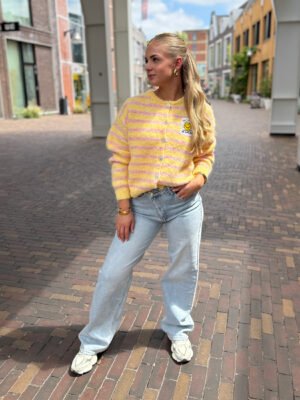 Geel/ roze gestreept gebreid vest Geel/ roze gestreept gebreid vest