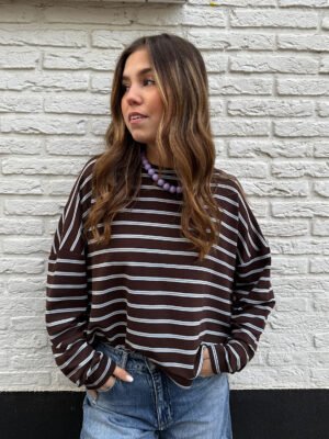 Longsleeve shirt Emily - bruin/ blauw