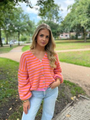 Roze/ oranje gestreept knit vest