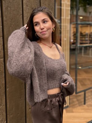 Taupe knit top en vest Ziza