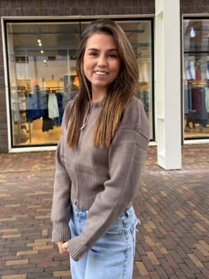 Taupe vest met rits Aspen