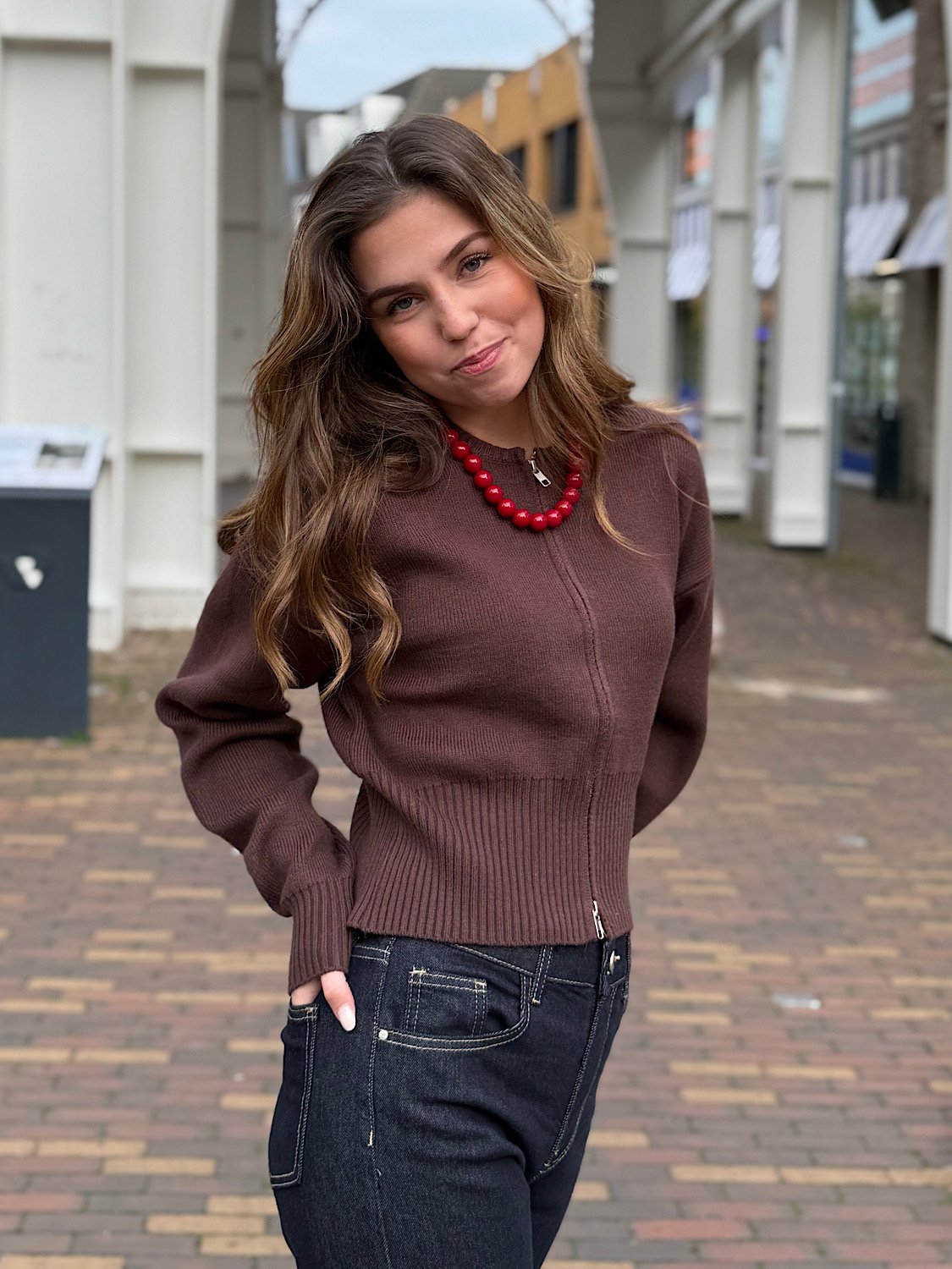 Vest met rits Aspen - bruin