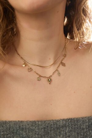 Heart & Soul Charm ketting - Goud