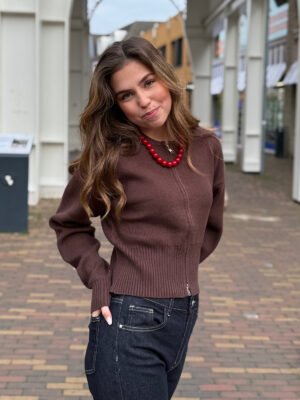 Vest met rits Aspen - bruin