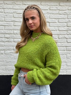 Avocado groene fluffy trui
